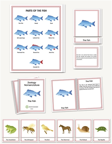 Montessori Materials: Zoology Elementary Nomenclature