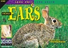 Animal Ears (Look Once, Look Again Science Series) [Paperback]