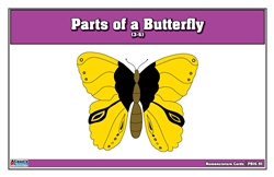 Parts of a Butterfly (Printed)