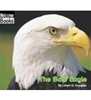 American Symbols - The Bald Eagle