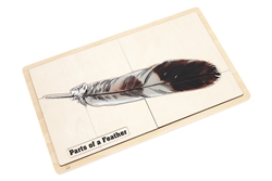 Parts of a Feather Puzzle with Nomenclature Cards (6-9)