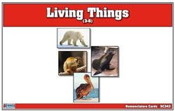 Living Things Nomenclature Cards