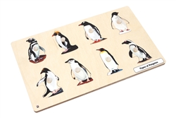 Types of Penguins Puzzle