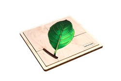 Parts of a Leaf Puzzle with Nomenclature Cards (Printed) (6-9)