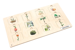 Types of Stems Puzzle with Nomenclature Cards 6-9 (Printed)