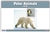 Polar Region Animals Nomenclature Cards