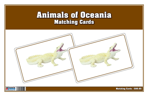 Animals of Oceania Matching Cards