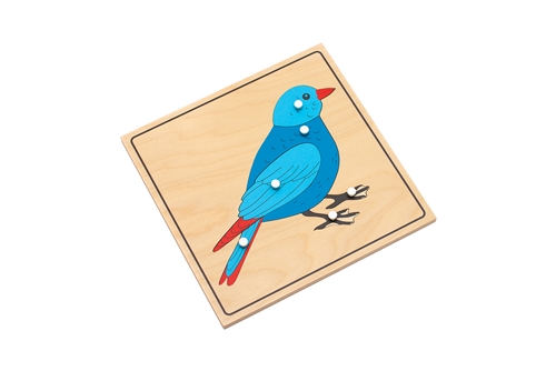 Parts of a Bird Puzzle with Nomenclature Cards (3-6) (Premium Quality)
