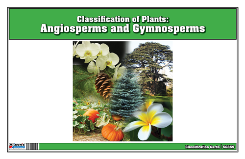 Classification of Plants: Angiosperms and Gymnosperms