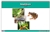 Amphibians Nomenclature Cards (Printed)