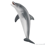 Montessori Materials - Dolphin
