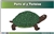 Parts of a Tortoise Nomenclature Cards (6-9) (Printed)