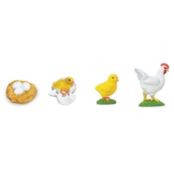 Montessori Materials: Life Cycle of a Chicken
