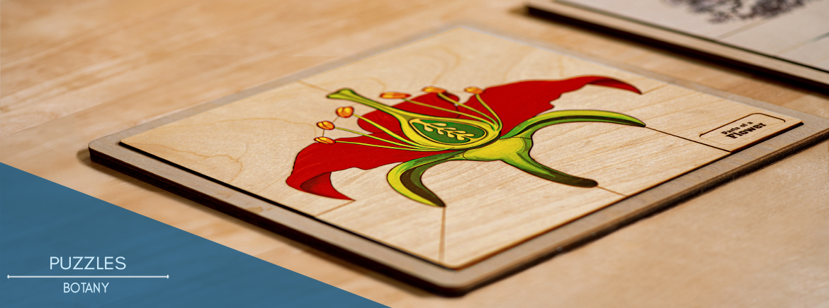 Montessori Materials: Botany Puzzles