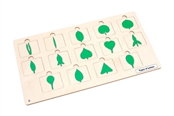 Types of Leaves puzzle with Nomenclature Cards 3-6 (Printed)