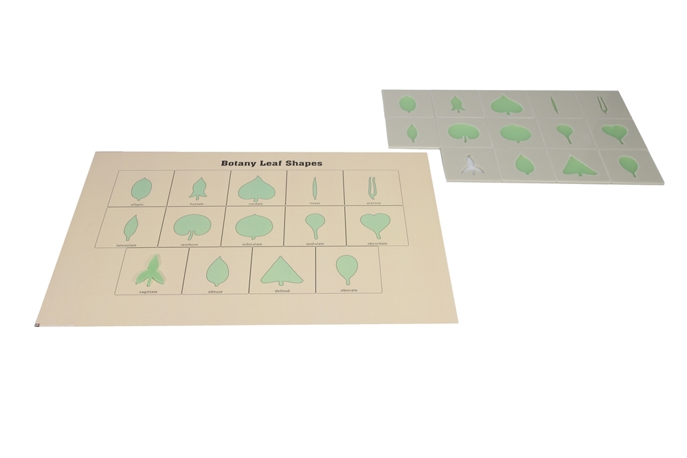 Acrylic Botany Frames and Insets with Control Chart