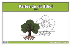 Tarjetas de Nomenclatura de Partes de un Árbol 3-6 (Spanish)