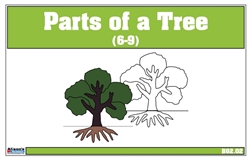 Parts of a Tree Nomenclature Cards 6-9 (Printed)