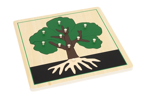 Parts of a Tree Puzzle with Nomenclature Cards  3-6 (Printed)