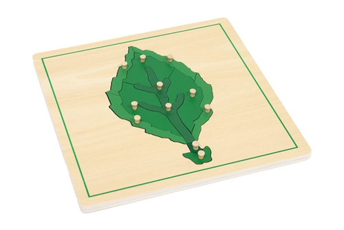 Parts of a Leaf Puzzle with Nomenclature Cards 3-6 (Printed)