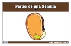 Tarjetas de Nomenclatura de Partes de una Semilla 3-6 (Spanish)