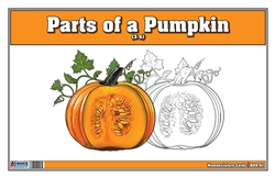 Parts of a Pumpkin (Nomenclature Cards) (3-6)