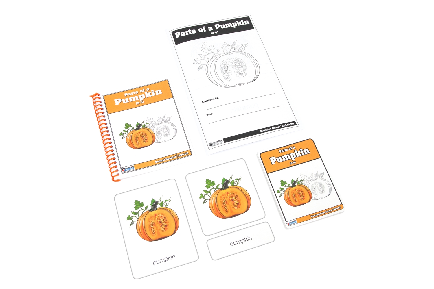  Parts of a Pumpkin Nomenclature Cards (3-6)