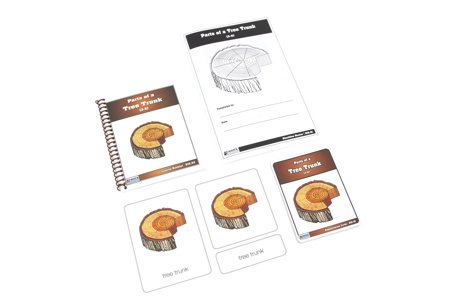  Parts of a Tree Trunk Nomenclature Cards (3-6)