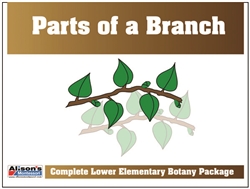 Parts of the Branch Definition Booklet