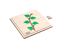 Parts of a Branch Puzzle with Nomenclature Cards 3-6