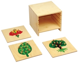 Botany Puzzles With Cabinet