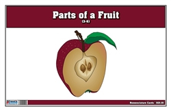 TParts of a Fruit 3-6 (Printed)