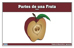 Tarjetas de nomenclatura Partes de una Fruta 3-6 (Spanish)