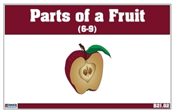 Parts of a Fruit 6-9 (Printed)