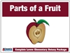 Parts of the Fruit Definition Booklet