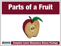 Parts of the Fruit Definition Booklet