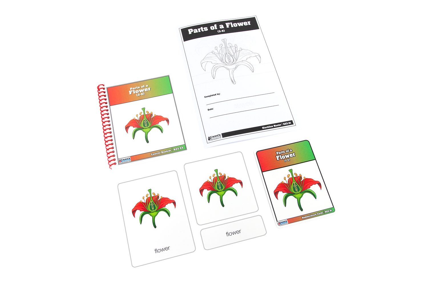  Parts of a Flower Nomenclature Cards (3-6)