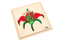 Parts of a Flower Puzzle