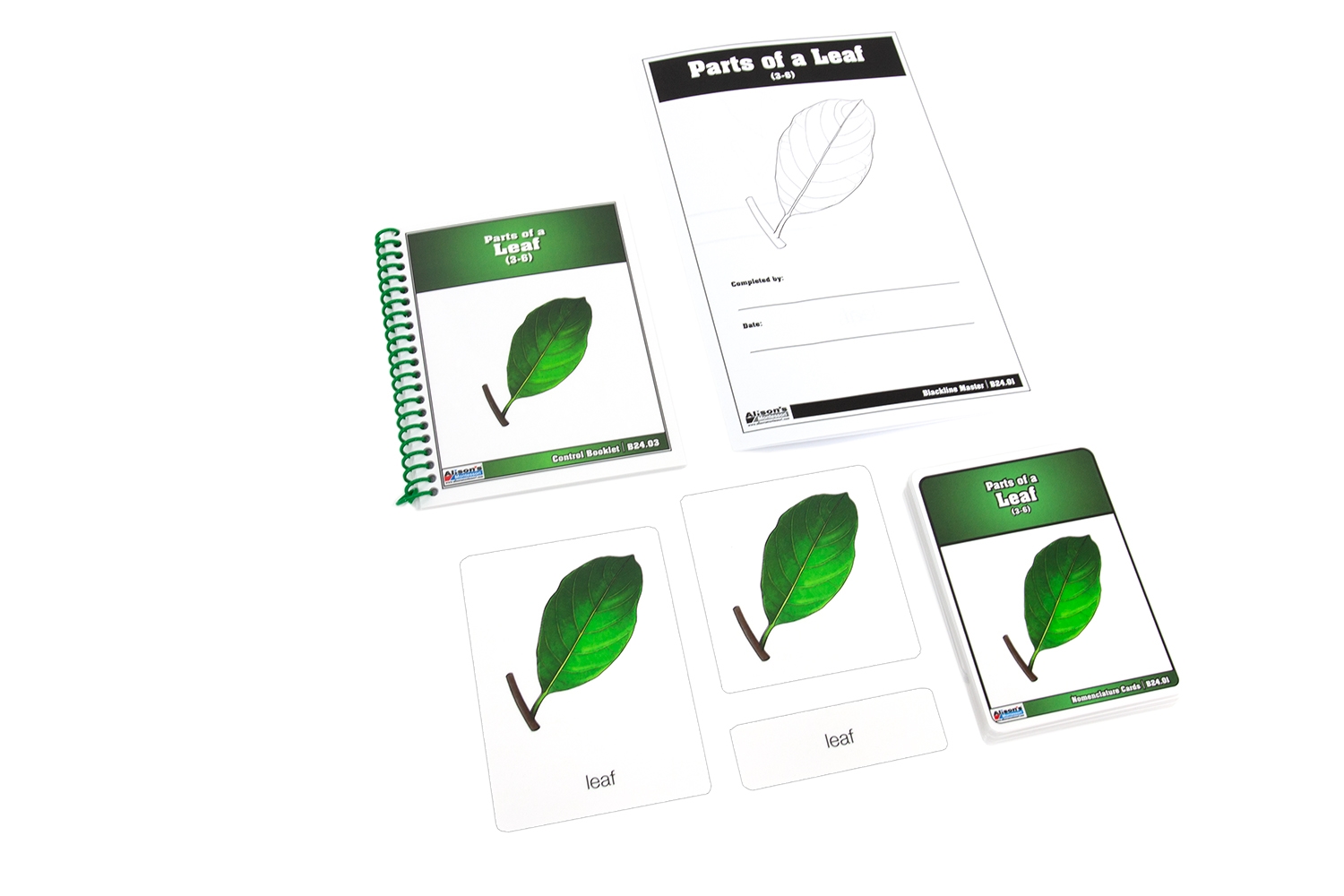  Parts of a Leaf Nomenclature Cards (3-6)