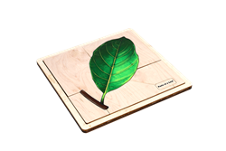 Parts of a Leaf Puzzle with Nomenclature Cards (Printed) (3-6)