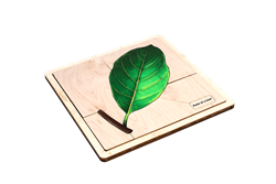 Parts of a Leaf Puzzle with Nomenclature Cards (Printed) (6-9)