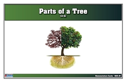 Parts of a Tree Nomenclature Cards (Printed) (3-6)