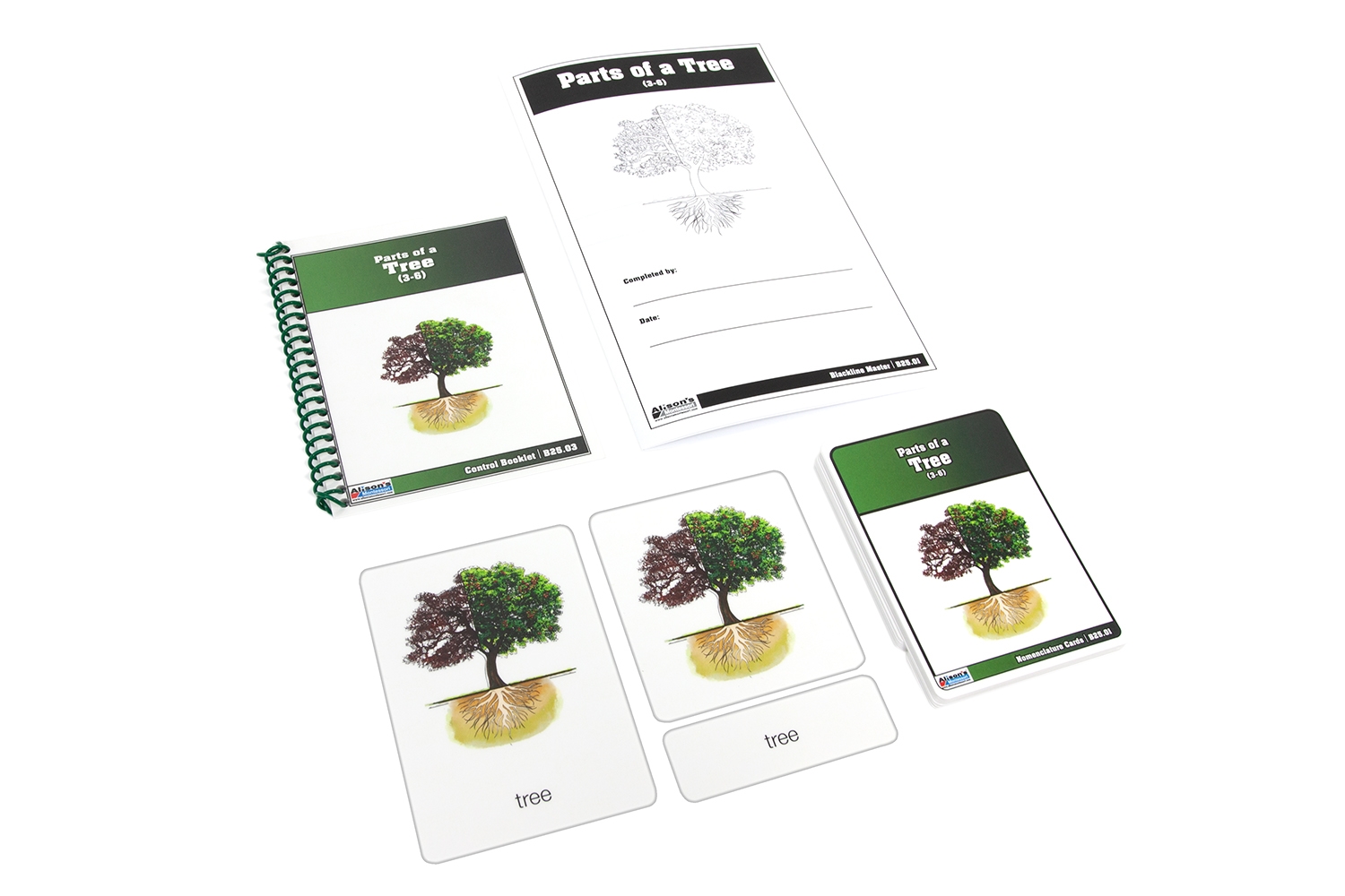 Parts of a Tree Nomenclature Cards (3-6) 