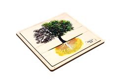 Parts of a Tree Puzzle with Nomenclature Cards (Printed) (3-6)