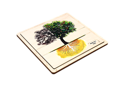 Parts of a Tree Puzzle with Nomenclature Cards (Printed) (6-9)