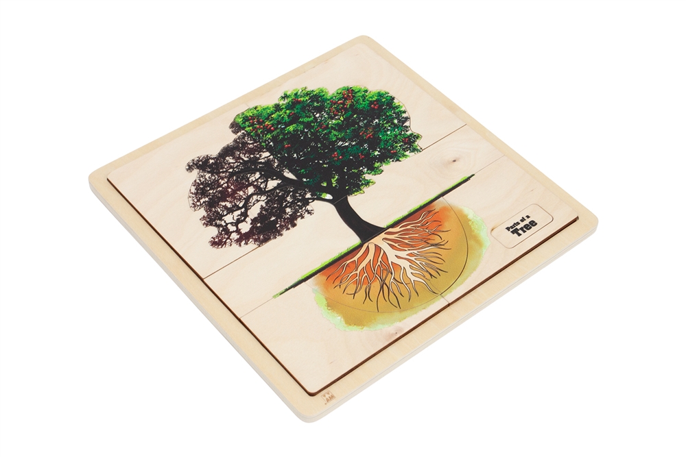 Montessori Materials: Parts of a Tree Puzzle