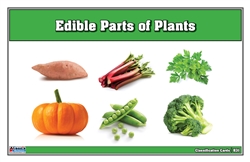 Edible Parts of Plants