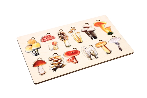 Types of Mushrooms Puzzle with Nomenclature Cards (3-6) (Printed)