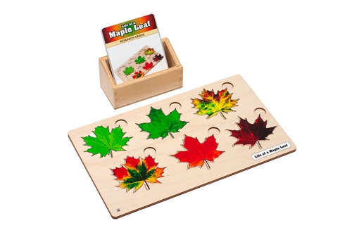Life of a Maple Leaf Puzzle Set