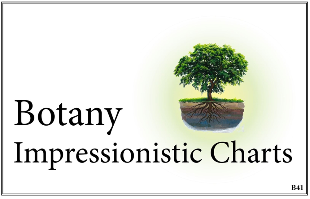 Montessori Botany Charts
